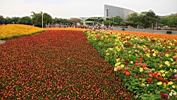 Resize of IMG_7240.JPG